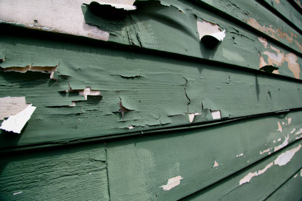 Best Residential Vinyl Siding Installation  in Kendall Park, NJ