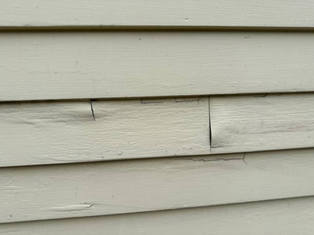 Best Siding Painting and Refinishing  in Kendall Park, NJ